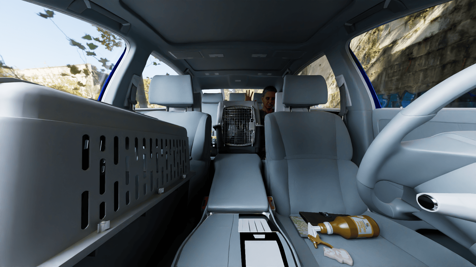 Object randomization in Driver Monitoring System in visible light