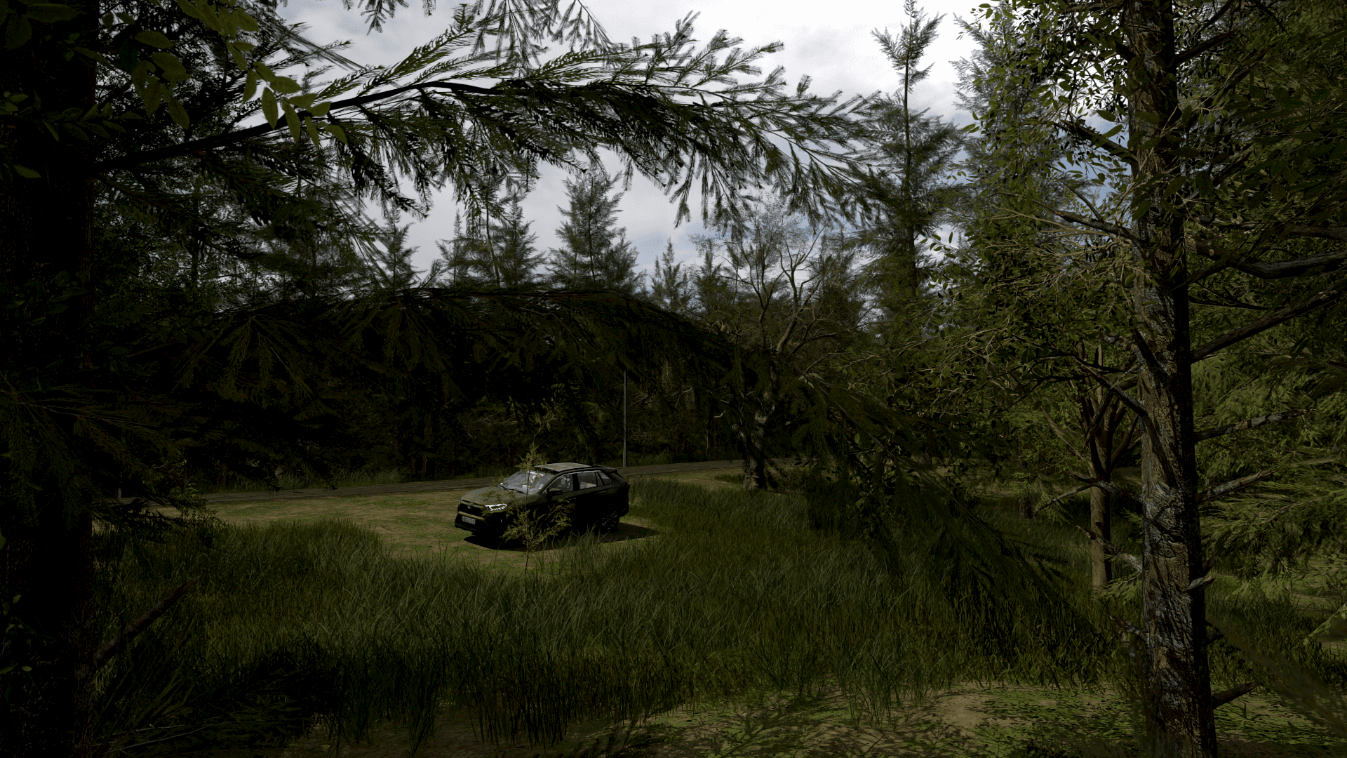 Camera POV of a vehicle in visible light