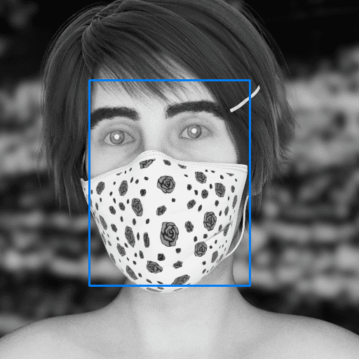 Bounding boxes in Near Infrared with facial occlusion